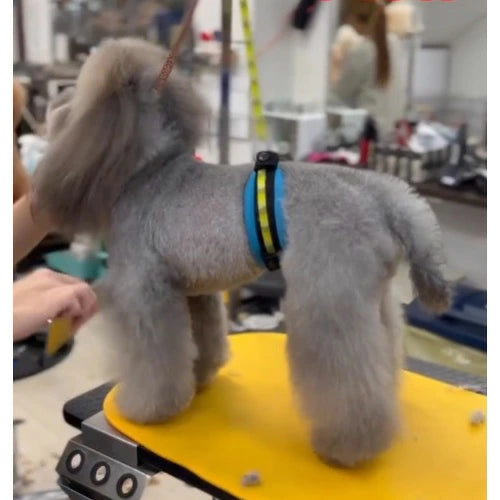 【ゆうパケット360円】サポートクッション M トリミング用 サロン用 業務用 シニア犬 メール便OK